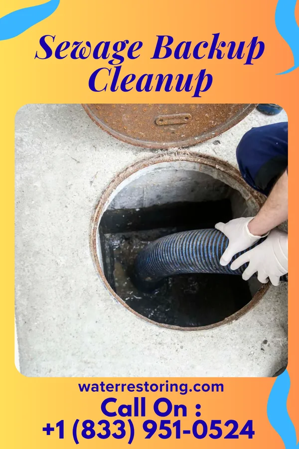 Sewage Backup Cleanup in Albion, IN